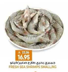 FRESH SEA SHRIMPS SMALL