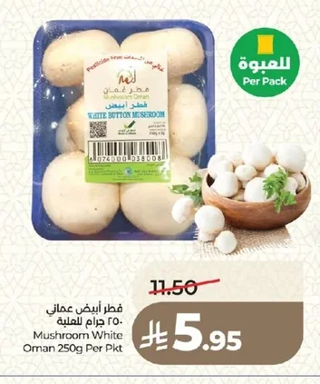 فطر أبيض عماني