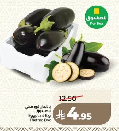 باذنجان كبير محلي