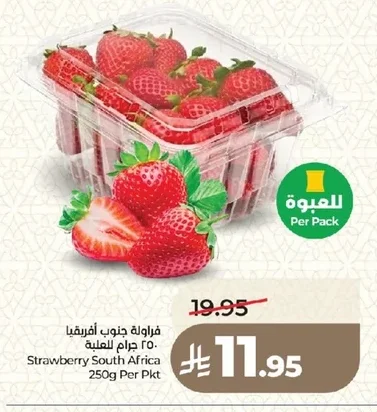 فراولة جنوب أفريقيا