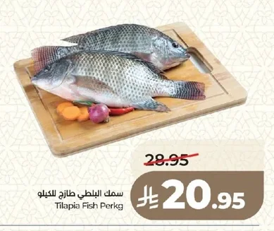 سمك البلطي طازج للكيلو