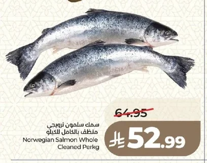 سمك سلمون نرويجي منظف بالكامل للكيلو