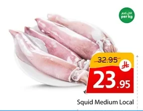 Squid Medium Local