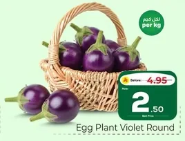 Egg Plant Violet Round