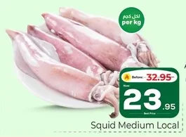 Squid Medium Local