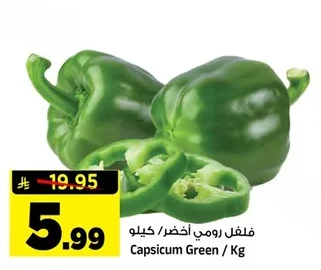 فلفل رومي أخضر