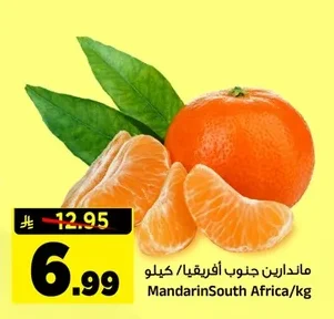 ماندارين جنوب أفريقيا
