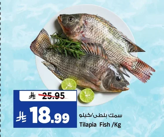 سمك بلطي