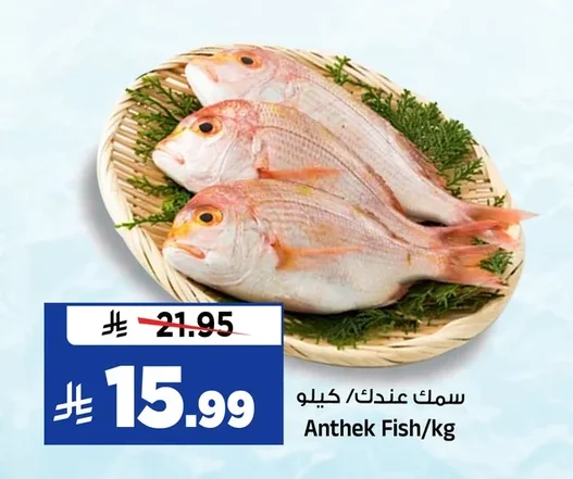 سمك عندك