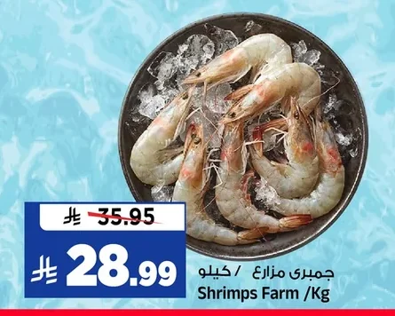 جمبري مزارع