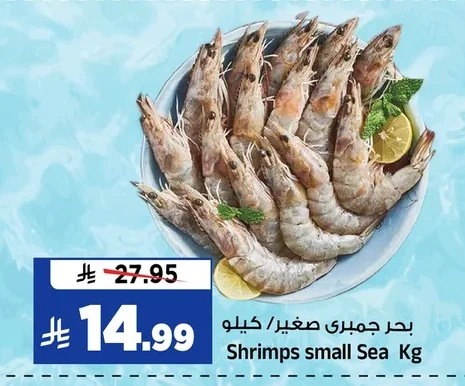 بحر جمبري صغير