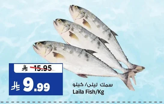 Laila Fish