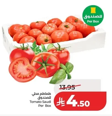 طماطم محلي