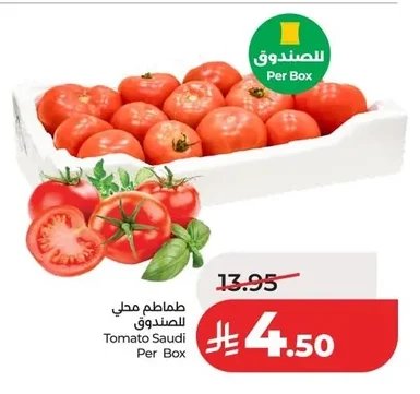 طماطم محلي للصندوق