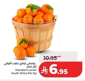 يوسفي ليناري جنوب افريقي