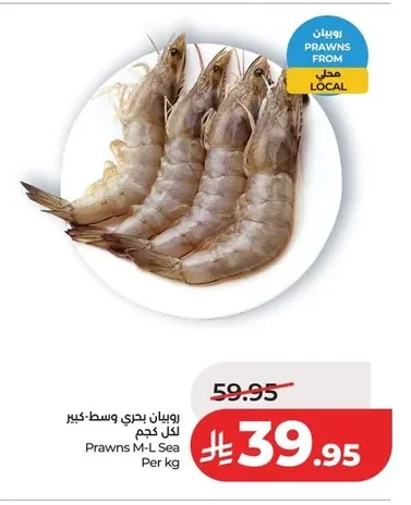روبيان بحري وسط وكبير