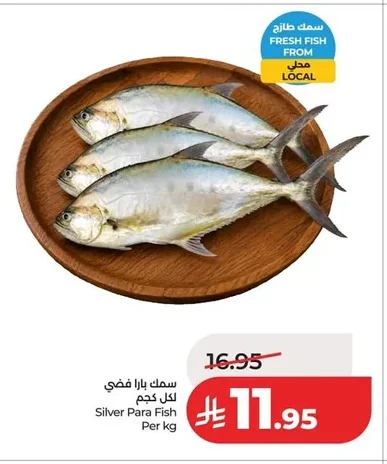 سمك بارا فضي