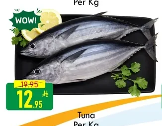 Tuna Per Kg