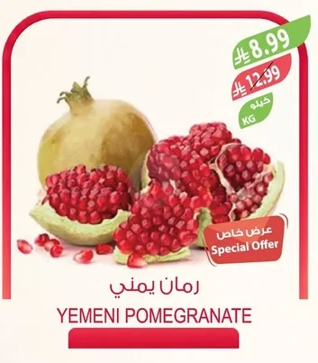 YEMENI POMEGRANATE