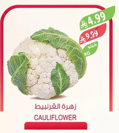 زهرة القرنبيط