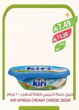 كيري جبنة كريمي قابلة للدهن ٢٠٠ جرام