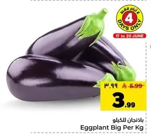 Eggplant Big Per Kg