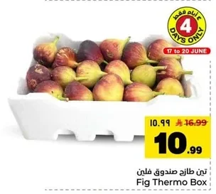 تين طازج صندوق فلين