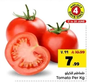 طماطم للكيلو