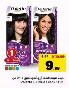 Palette Hair Color Blue Black Mix 1-1 50ml