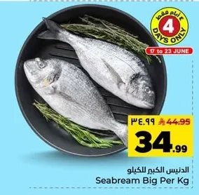 Seabream Big Per Kg