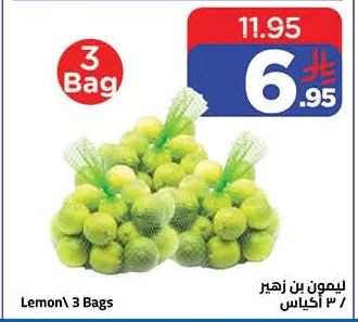 ليمون بن زهير