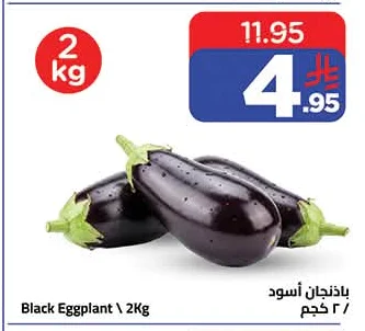 باذنجان أسود