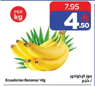 موز الإكوادور