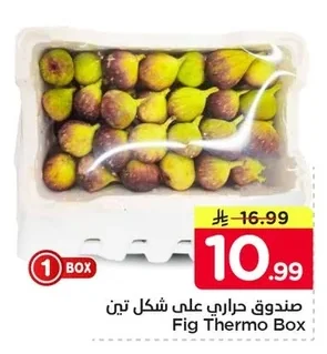 صندوق حراري على شكل تين