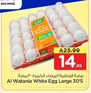 Large White Eggs