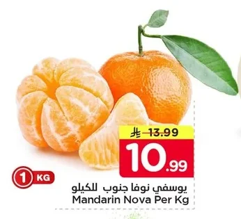 Mandarin Nova Per Kg