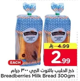 Cranberry Milk Bread