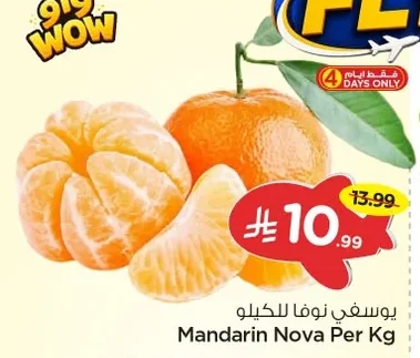 يوسفي نوفا للكيلو