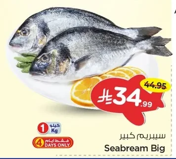 سيبريم كبير