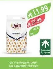 دقيق