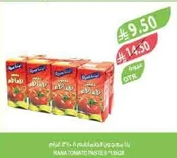 Tomato Paste