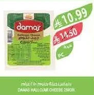 Halloumi Cheese