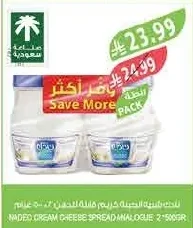 CREAM CHEESE SPREAD ANALOGUE 2*500GR