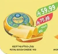 رويال جبنة جودا
