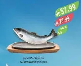 SALMON WHOLE (2-3) KG