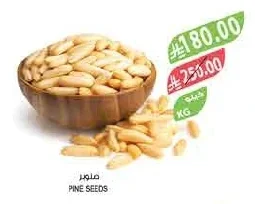 PINE SEEDS