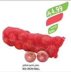 RED ONION SMALL