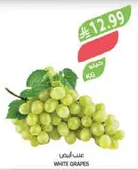 WHITE GRAPES