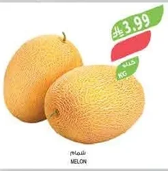 MELON