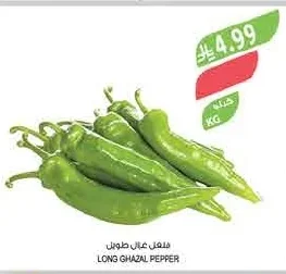 LONG GHAZAL PEPPER